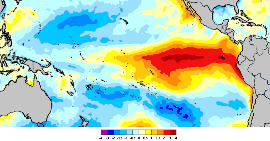 El Nino Coffee El Nino effect on Coffee Business