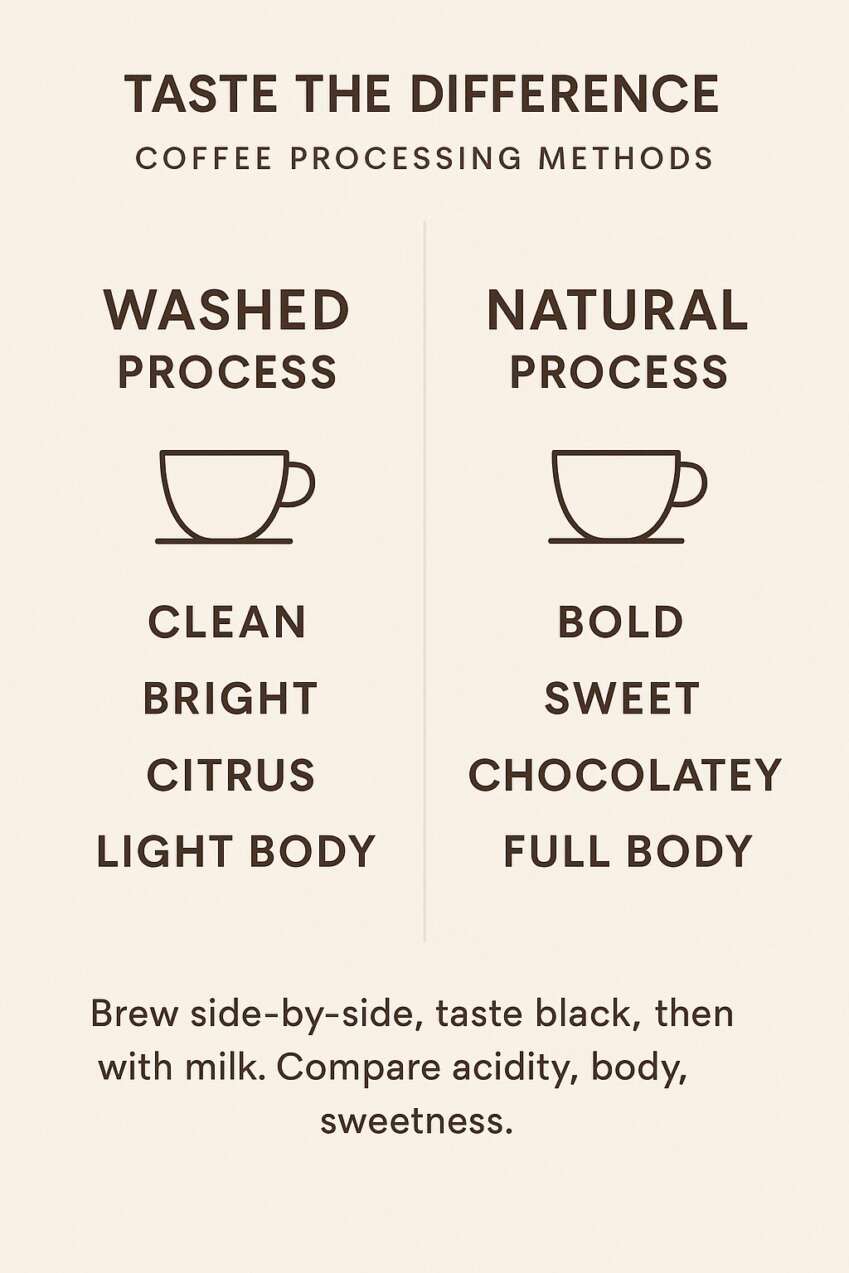 Comparing Coffee Processing Methods Coffee processing methods.