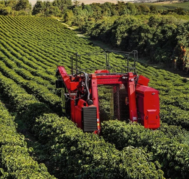 Mechanised coffee harvesting