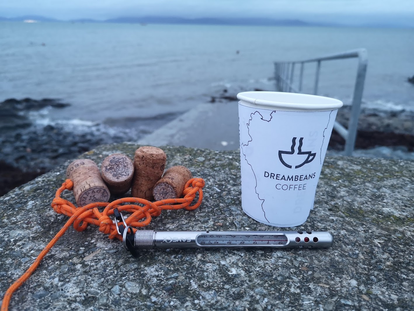 Salterstown November Sea swimming in Salterstown