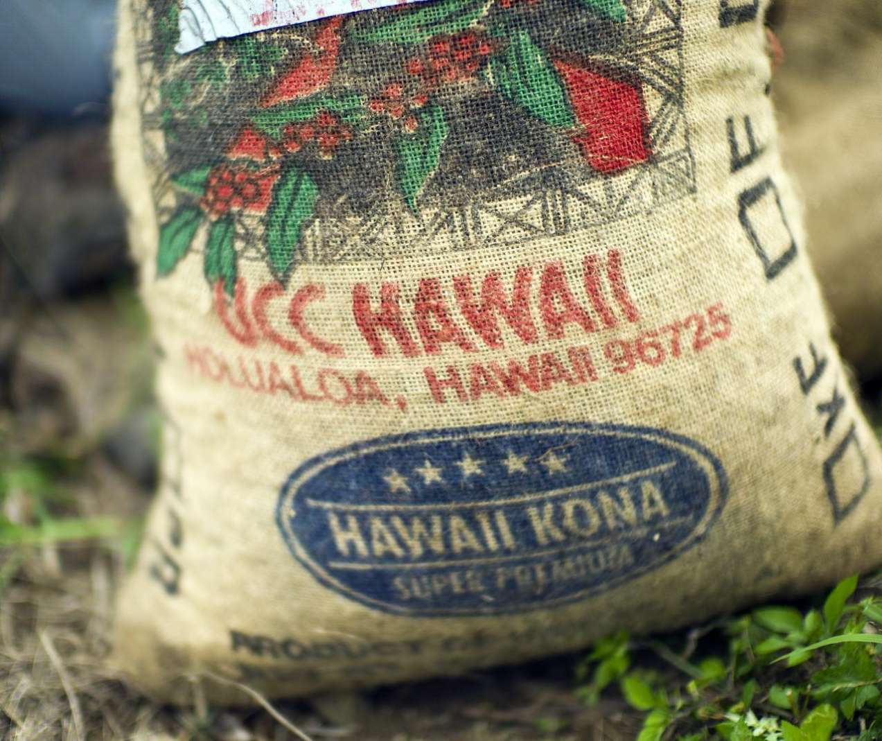 Hawaiian Coffee Kona Coffee
