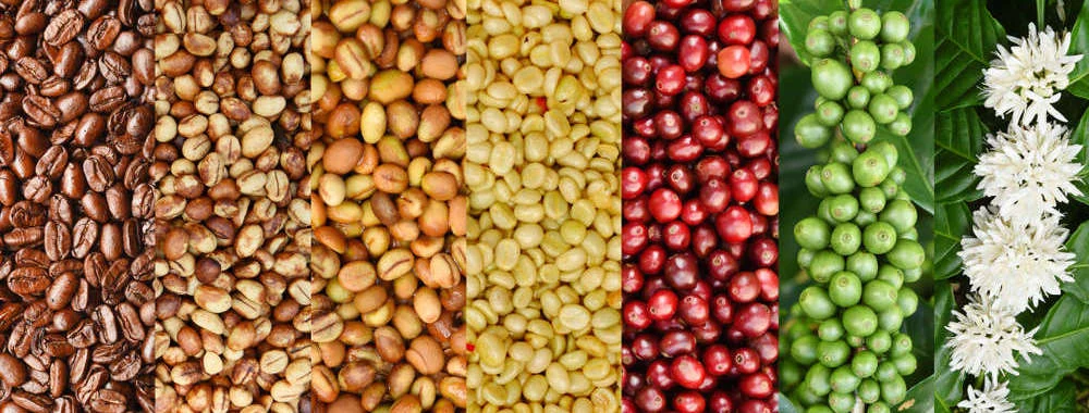 Coffee blending Dundalk Dreambeans Coffee