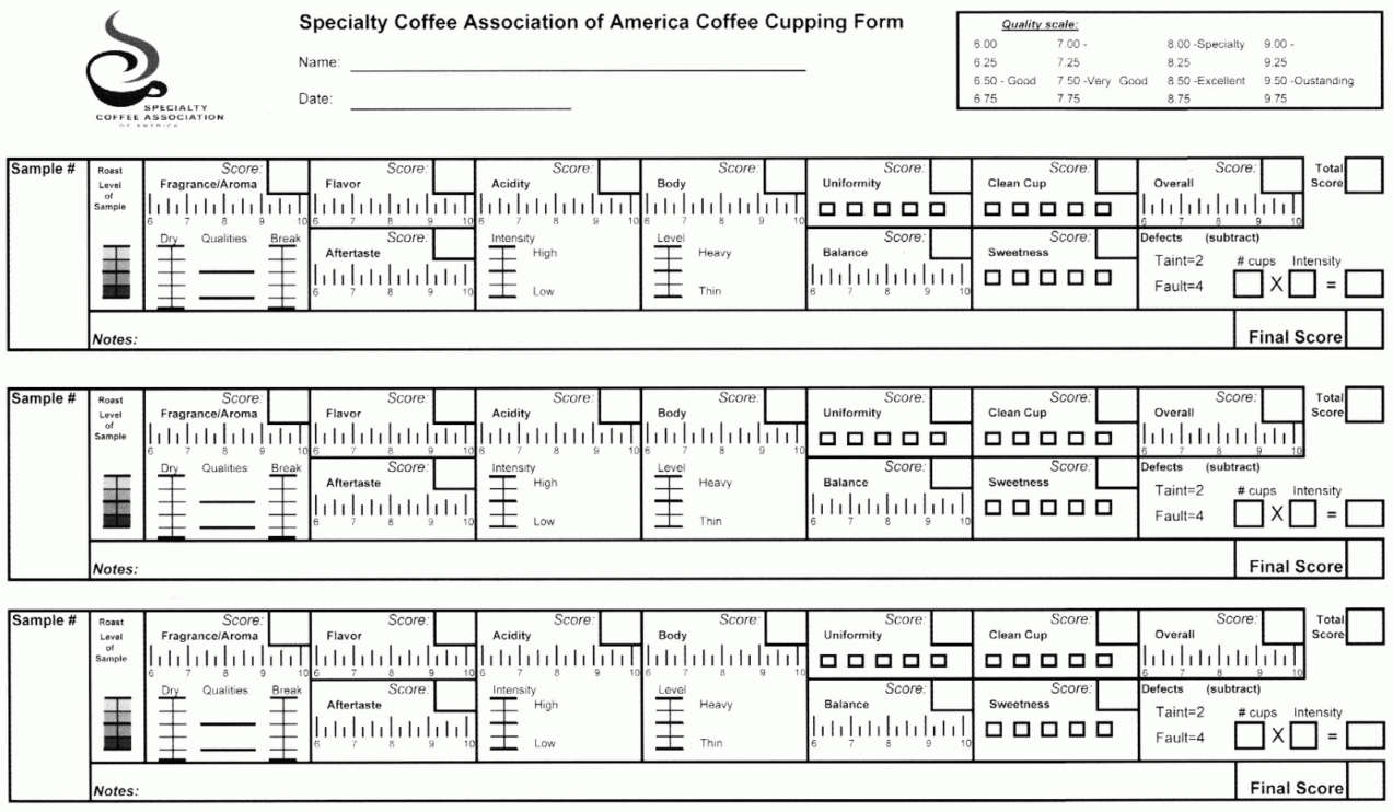 Coffee scoring card. SCA
