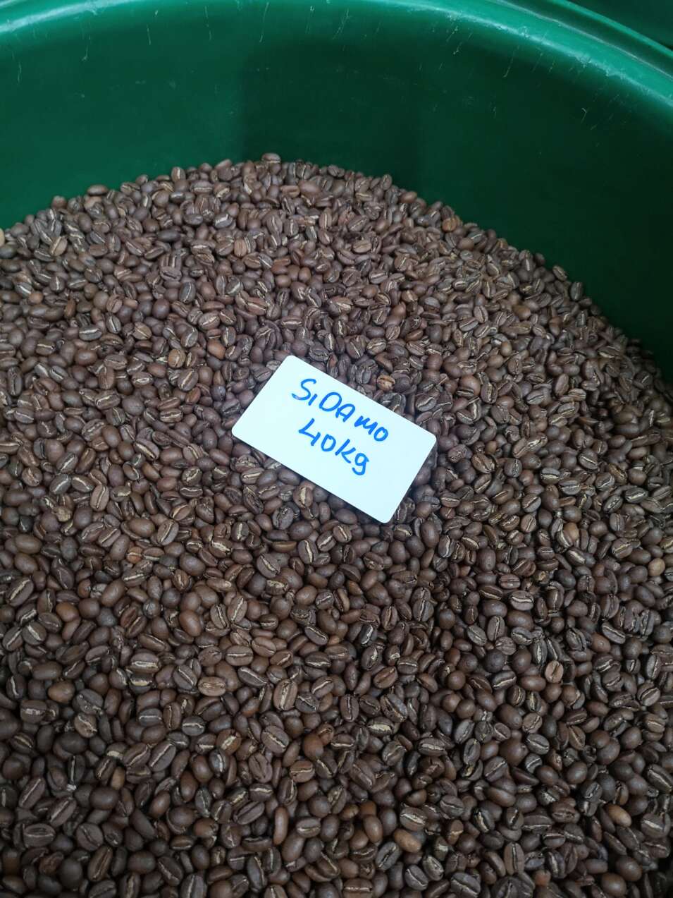 Ethiopian coffee beans Sidamo