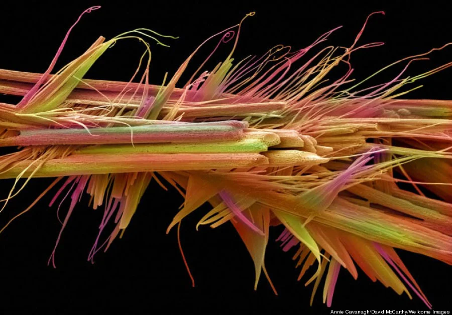Caffeine Crystals Decaf Coffee